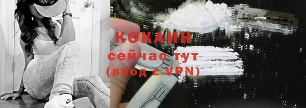 спайс Богданович